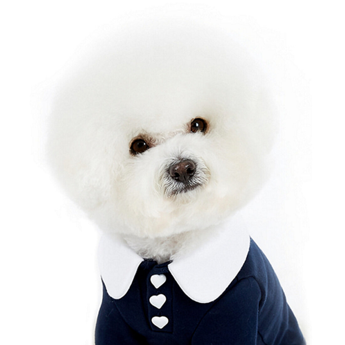 J.O.Y! Heart Button Collar T - Navy