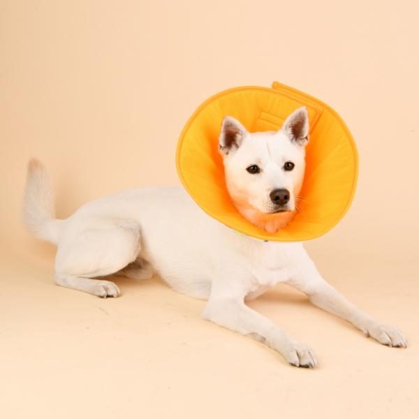 Terrazzo Neck Collar (Cream)