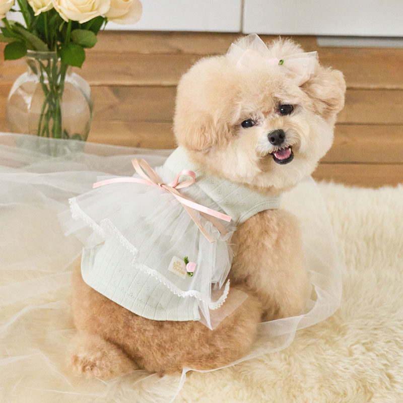 Rose Tutu Ops (Mint)