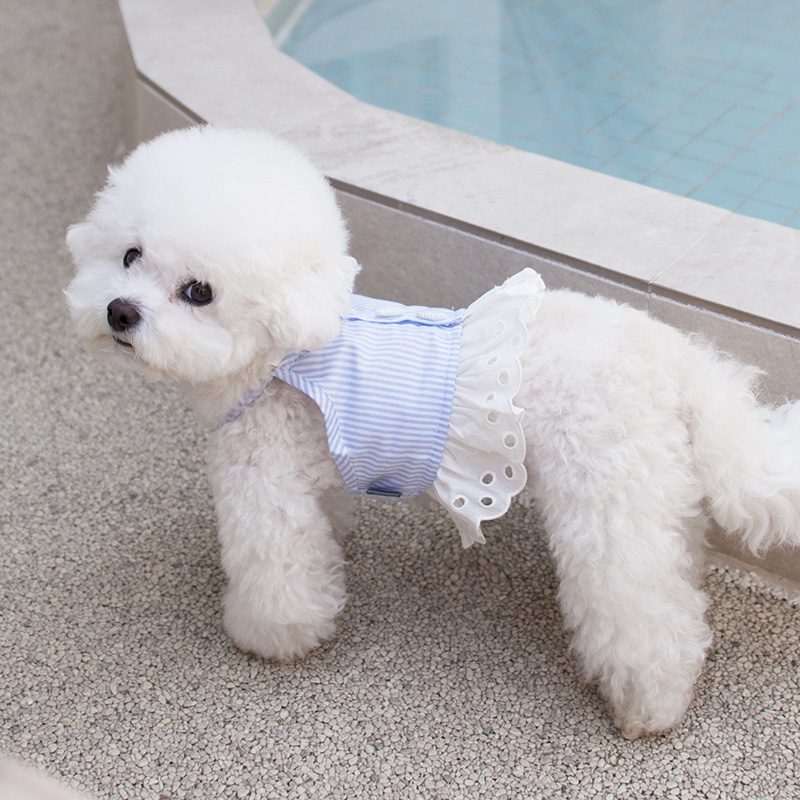 Bian Crop Top