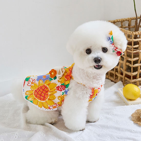 SunDress (Sunflower)