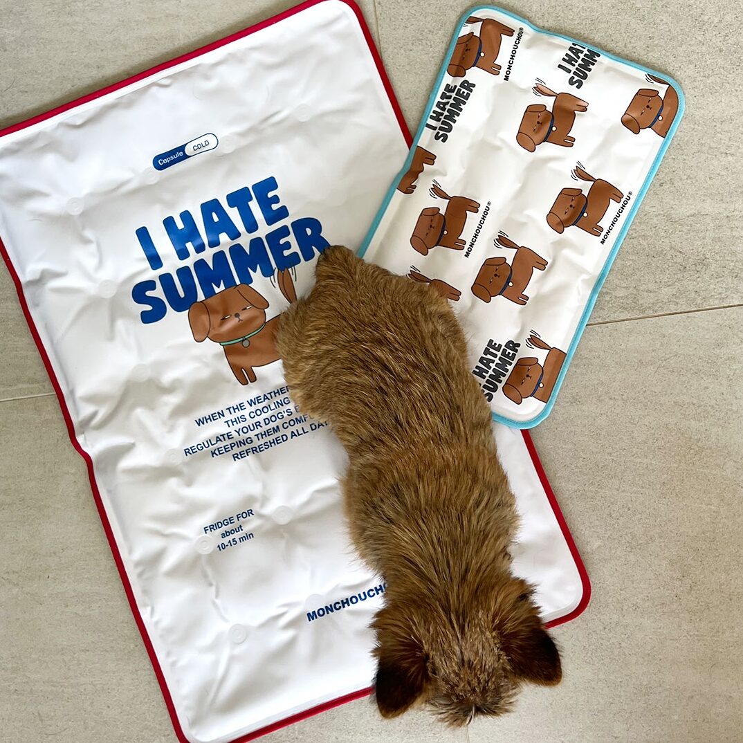 I HATE SUMMER Cool Mat