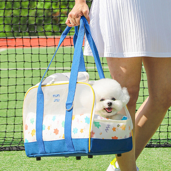 Windy Bag