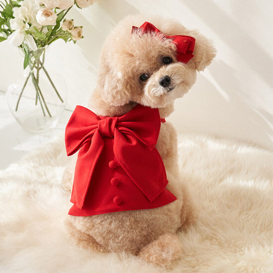 Merry Ribbon Top (Red)