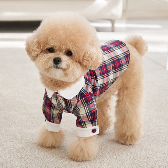 Preppy Shirts (Red)