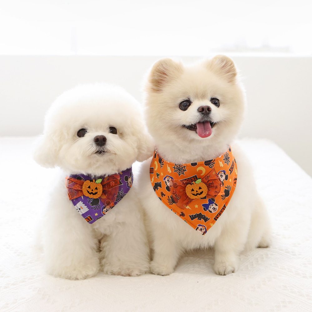 Disney Halloween TikTok Scarf