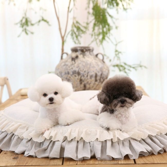 Honey Frill Rug