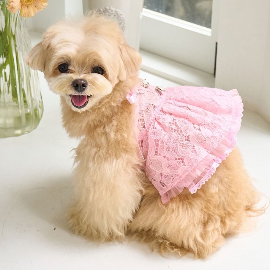 Blooming Dress (Pink)
