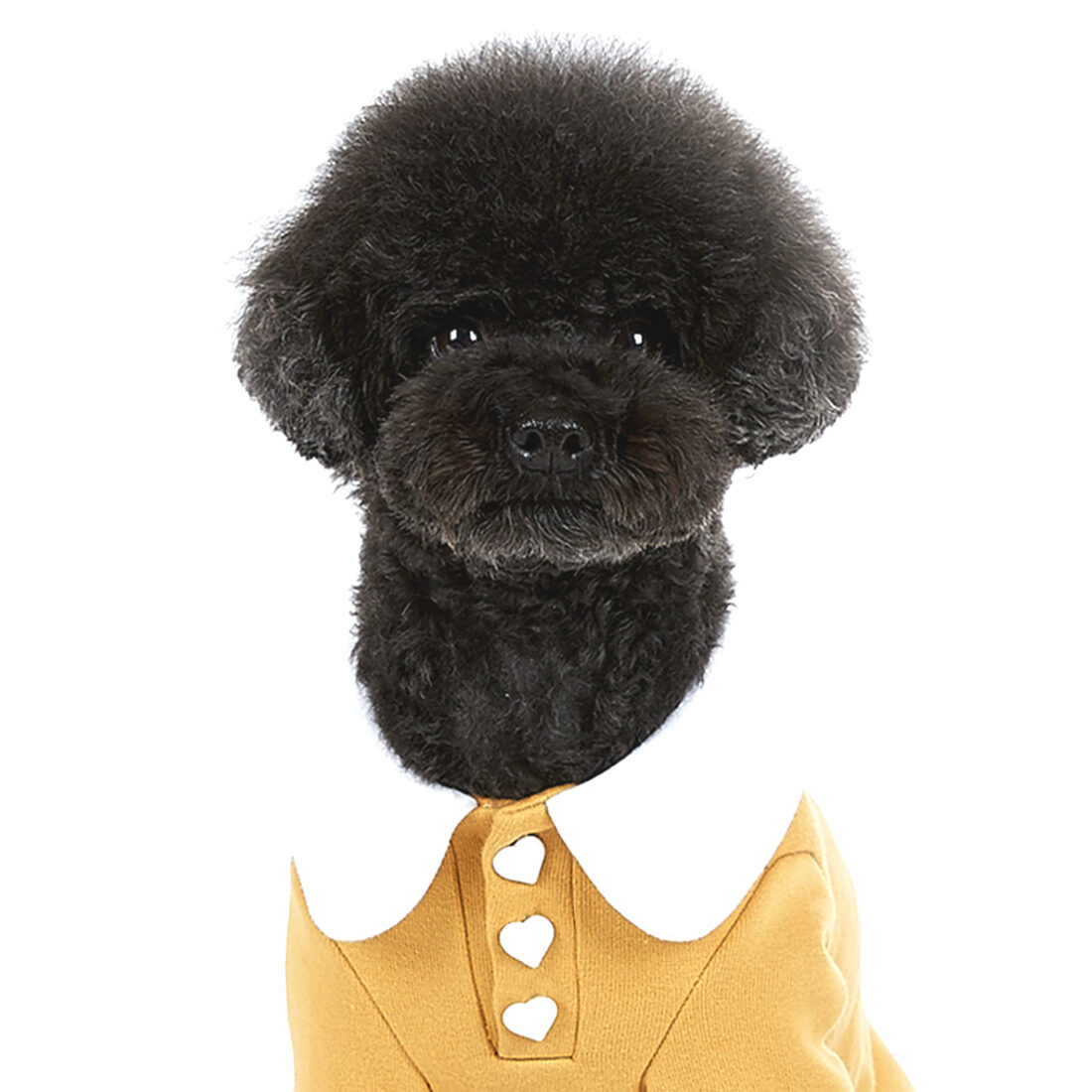 J.O.Y! Heart Button Collar T - Mustard