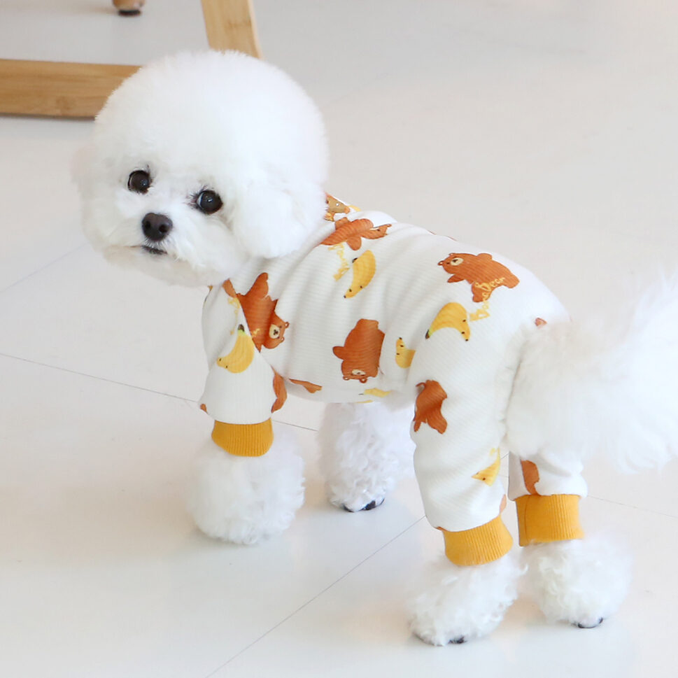 Bana Bear All in One