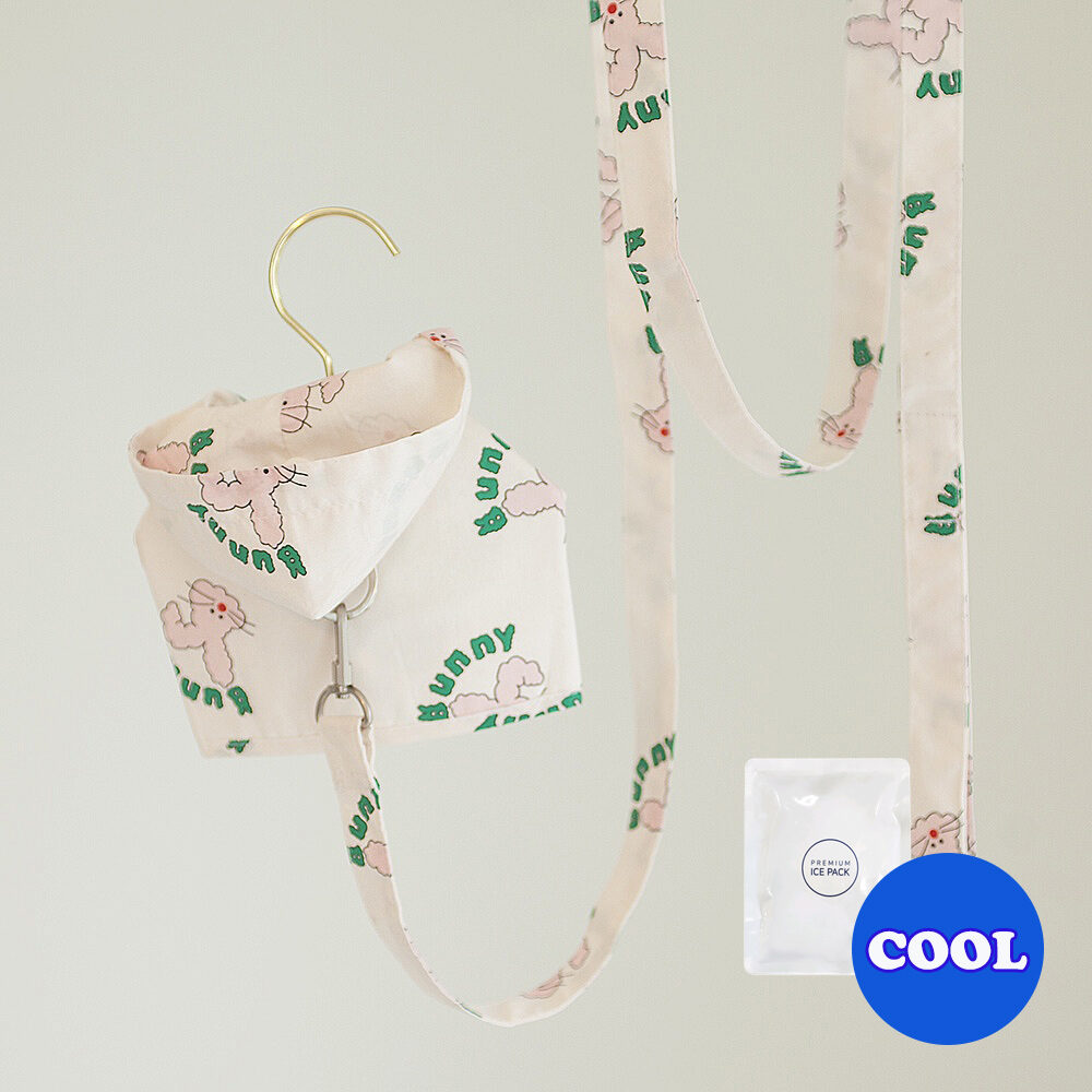 Bunny Harness Set