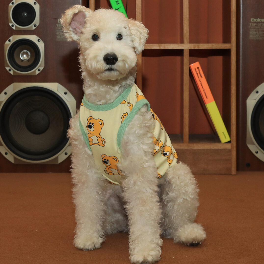 Iconic Joy Bear Sleeveless