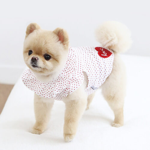 Cutie Love Frill T-Shirt