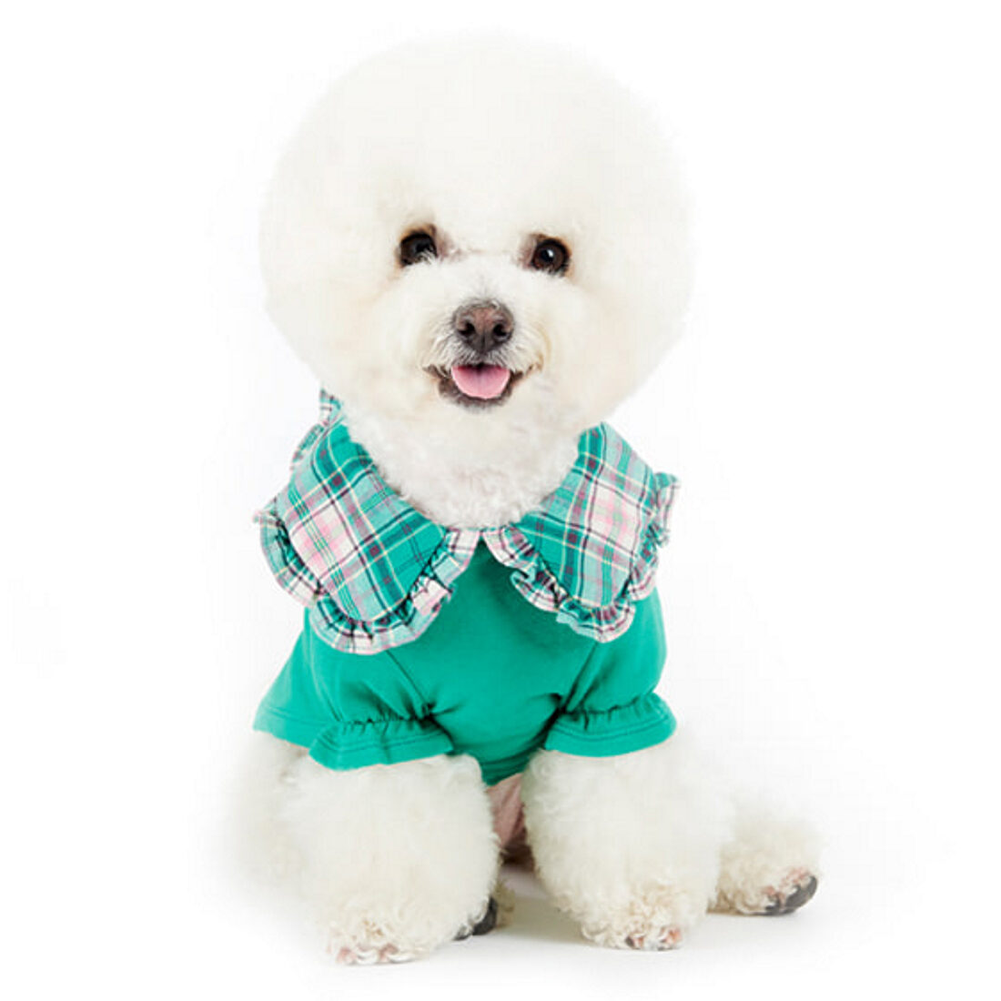 J.O.Y! Check Collar Ruffle T - GREEN