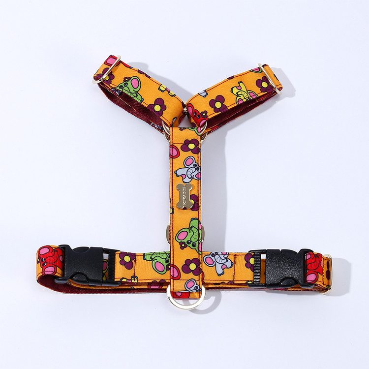 Little PoPo H Harness