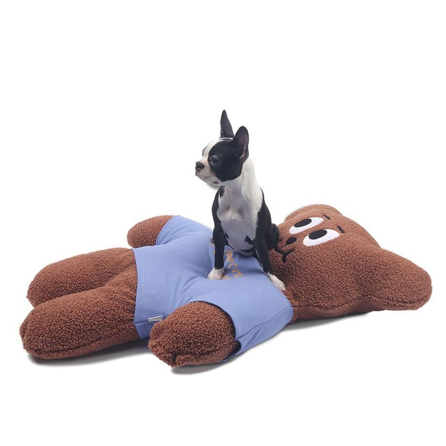 Dumb Bear Big Cushion