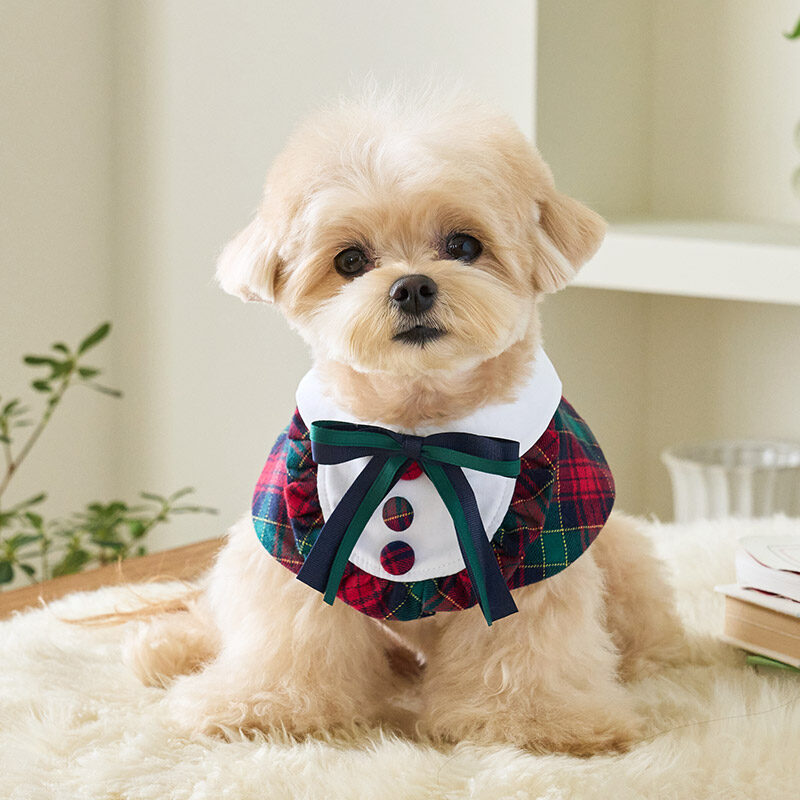 Preppy Cape